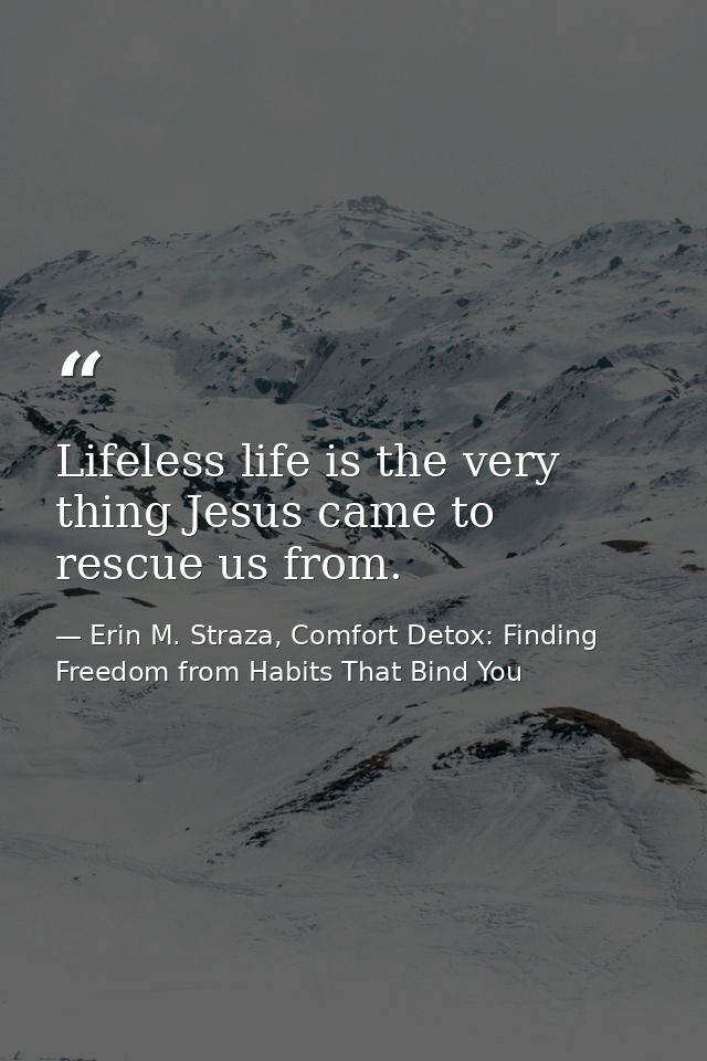 Lifeless life is the very thing Jesus came to rescue us from. — Erin M. Straza, Comfort Detox: Finding Freedom from Habits That Bind You
