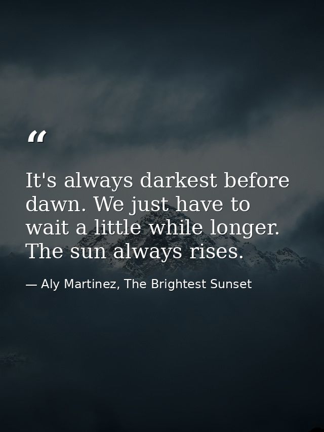 It's always darkest before dawn. We just have to wait a little while longer. The sun always rises. — Aly Martinez, The Brightest Sunset
