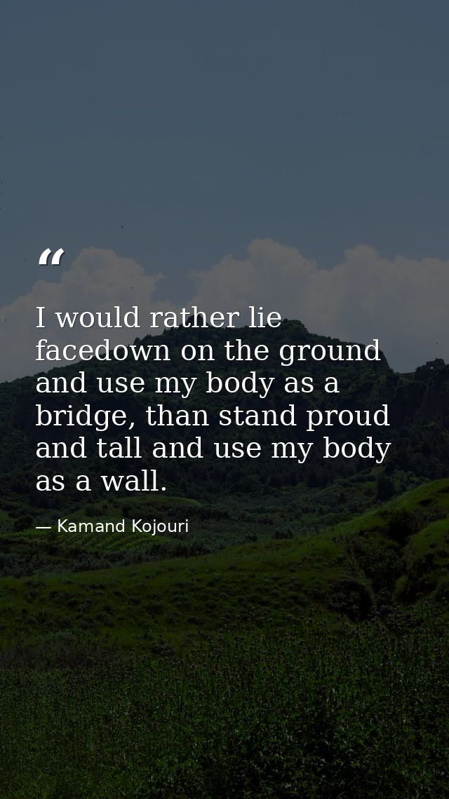 I would rather lie facedown on the ground and use my body as a bridge, than stand proud and tall and use my body as a wa — Kamand Kojouri