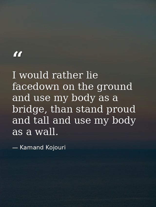 I would rather lie facedown on the ground and use my body as a bridge, than stand proud and tall and use my body as a wa — Kamand Kojouri
