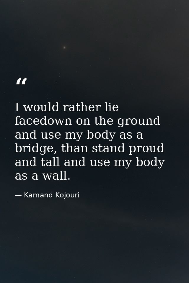 I would rather lie facedown on the ground and use my body as a bridge, than stand proud and tall and use my body as a wa — Kamand Kojouri