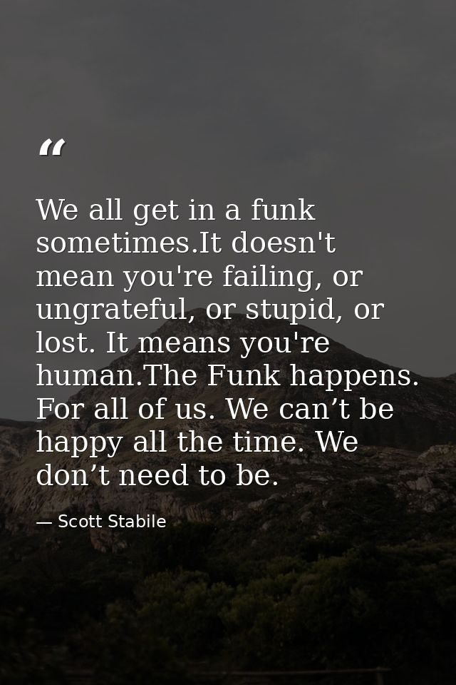 We all get in a funk sometimes.It doesn't mean you're failing, or ungrateful, or stupid, or lost. It means you're human. — Scott Stabile