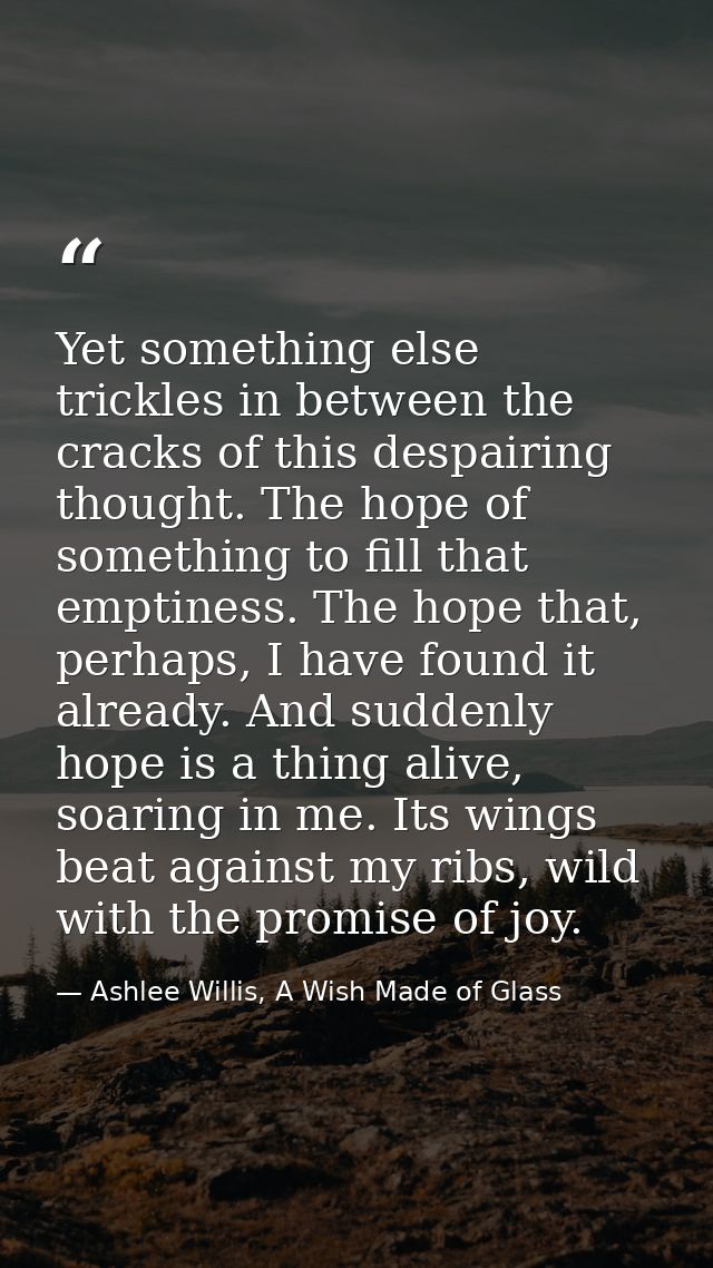 Yet something else trickles in between the cracks of this despairing thought. The hope of something to fill that emptine — Ashlee Willis, A Wish Made of Glass