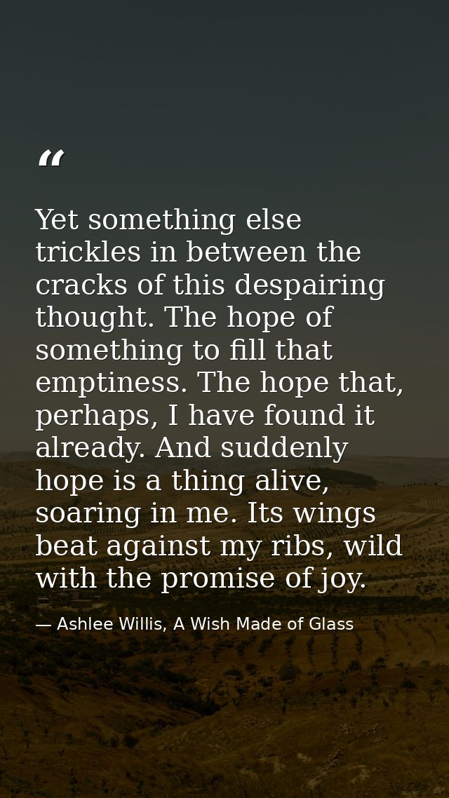 Yet something else trickles in between the cracks of this despairing thought. The hope of something to fill that emptine — Ashlee Willis, A Wish Made of Glass