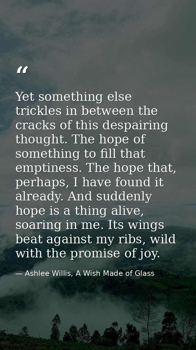Yet something else trickles in between the cracks of this despairing thought. The hope of something to fill that emptine — Ashlee Willis, A Wish Made of Glass