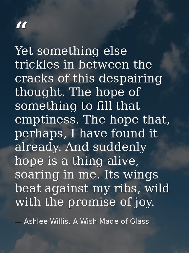 Yet something else trickles in between the cracks of this despairing thought. The hope of something to fill that emptine — Ashlee Willis, A Wish Made of Glass