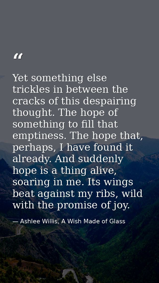 Yet something else trickles in between the cracks of this despairing thought. The hope of something to fill that emptine — Ashlee Willis, A Wish Made of Glass