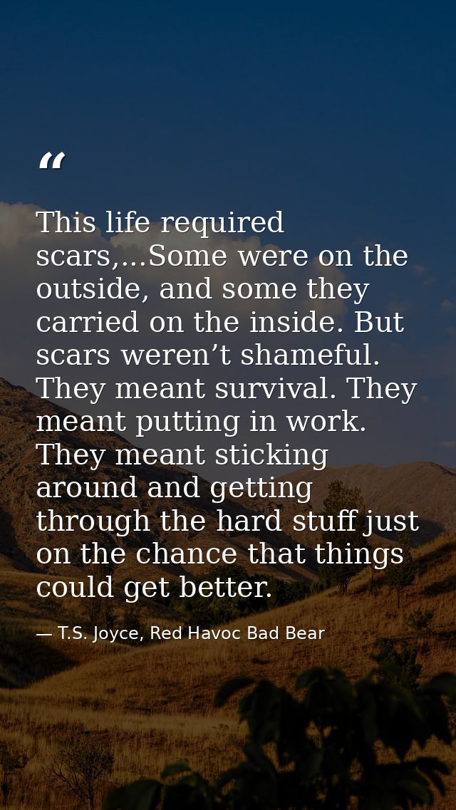 This life required scars,...Some were on the outside, and some they carried on the inside. But scars weren’t shameful. T — T.S. Joyce, Red Havoc Bad Bear