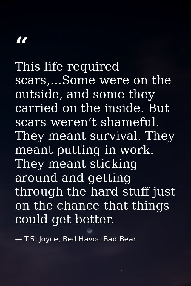 This life required scars,...Some were on the outside, and some they carried on the inside. But scars weren’t shameful. T — T.S. Joyce, Red Havoc Bad Bear