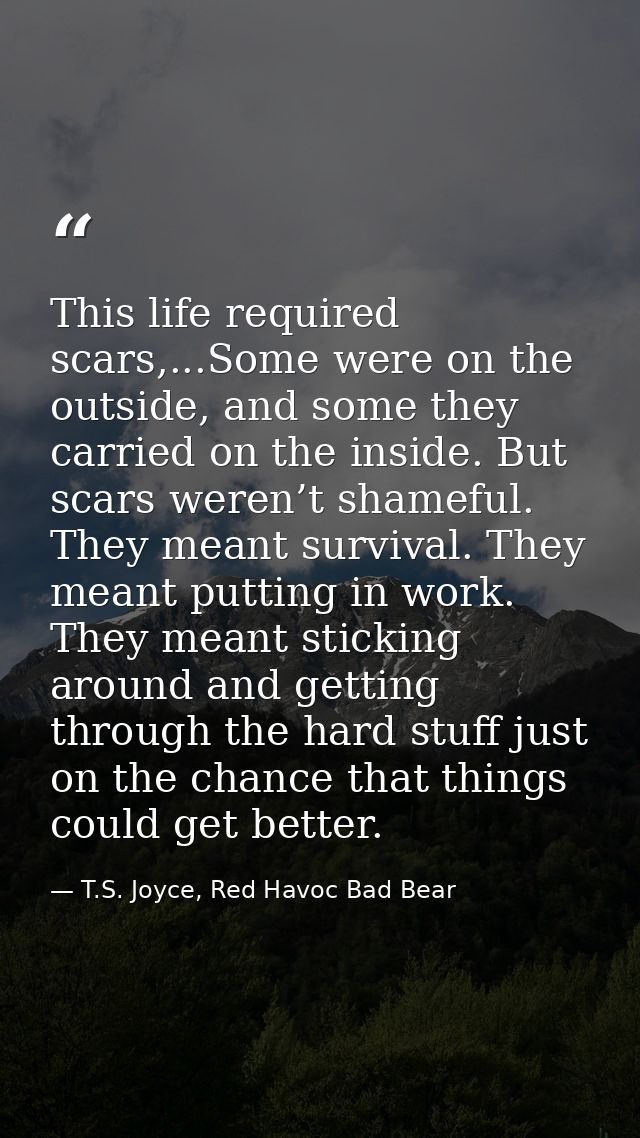 This life required scars,...Some were on the outside, and some they carried on the inside. But scars weren’t shameful. T — T.S. Joyce, Red Havoc Bad Bear
