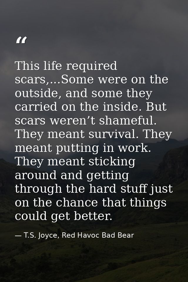 This life required scars,...Some were on the outside, and some they carried on the inside. But scars weren’t shameful. T — T.S. Joyce, Red Havoc Bad Bear