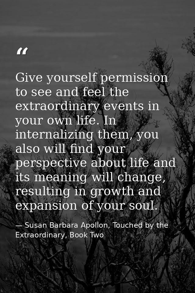 Give yourself permission to see and feel the extraordinary events in your own life. In internalizing them, you also will — Susan Barbara Apollon, Touched by the Extraordinary, Book Two