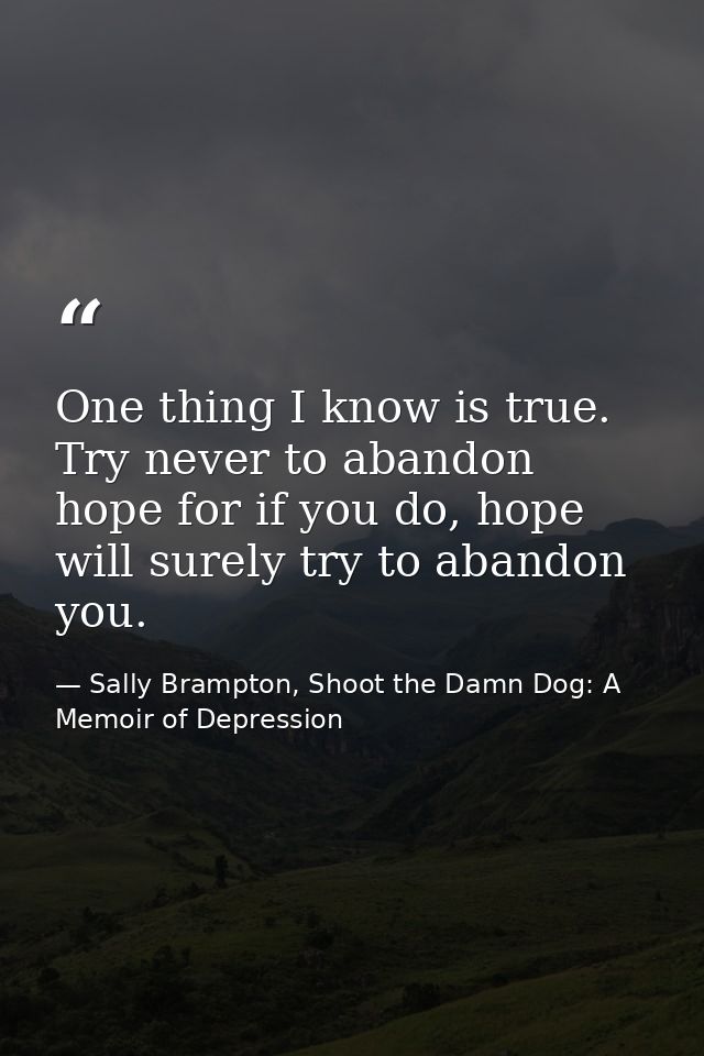 One thing I know is true. Try never to abandon hope for if you do, hope will surely try to abandon you. — Sally Brampton, Shoot the Damn Dog: A Memoir of Depression