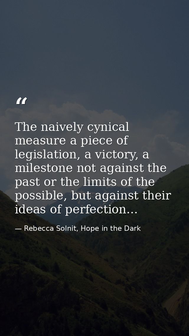 The naively cynical measure a piece of legislation, a victory, a milestone not against the past or the limits of the pos — Rebecca Solnit, Hope in the Dark