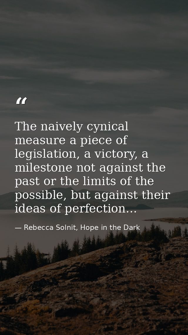 The naively cynical measure a piece of legislation, a victory, a milestone not against the past or the limits of the pos — Rebecca Solnit, Hope in the Dark