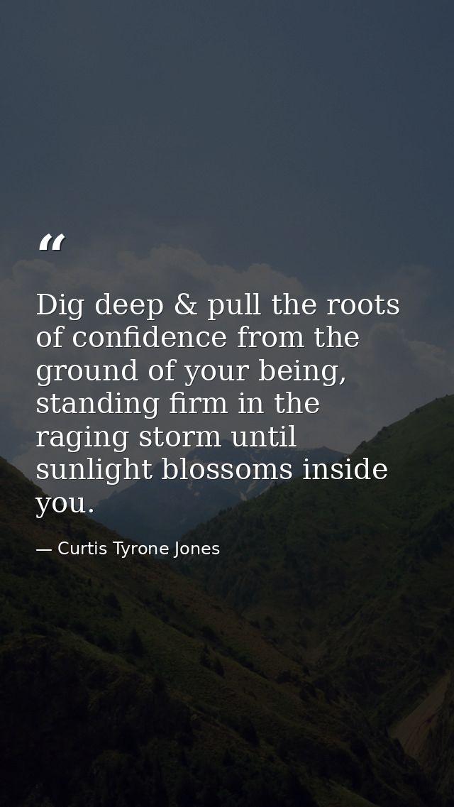 Dig deep & pull the roots of confidence from the ground of your being, standing firm in the raging storm until sunlight  — Curtis Tyrone Jones