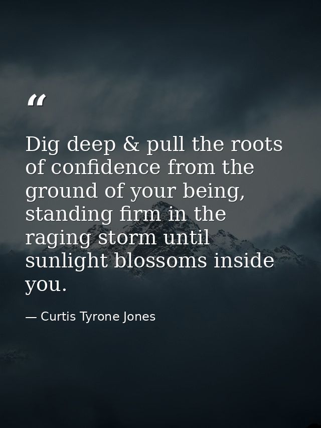 Dig deep & pull the roots of confidence from the ground of your being, standing firm in the raging storm until sunlight  — Curtis Tyrone Jones