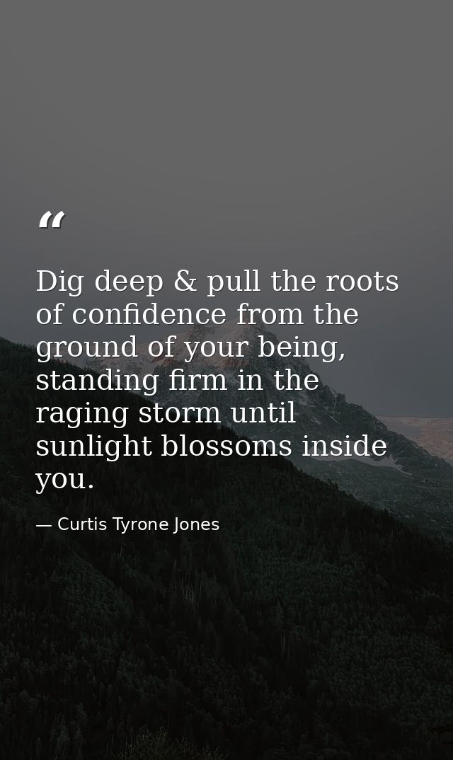 Dig deep & pull the roots of confidence from the ground of your being, standing firm in the raging storm until sunlight  — Curtis Tyrone Jones