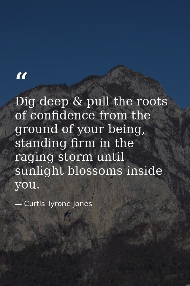 Dig deep & pull the roots of confidence from the ground of your being, standing firm in the raging storm until sunlight  — Curtis Tyrone Jones