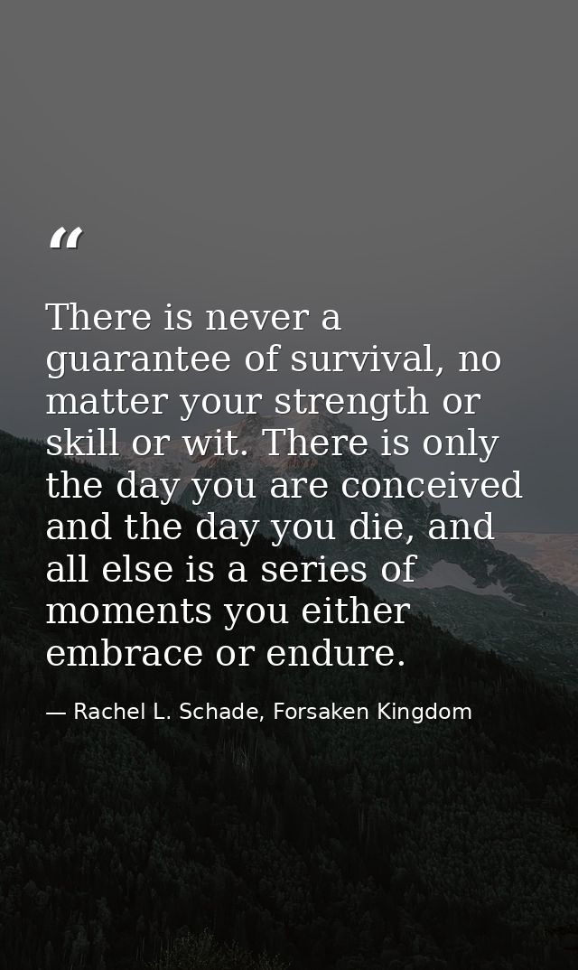 There is never a guarantee of survival, no matter your strength or skill or wit. There is only the day you are conceived — Rachel L. Schade, Forsaken Kingdom