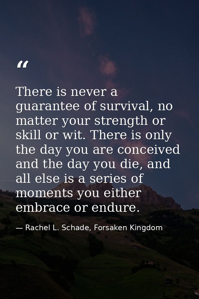 There is never a guarantee of survival, no matter your strength or skill or wit. There is only the day you are conceived — Rachel L. Schade, Forsaken Kingdom