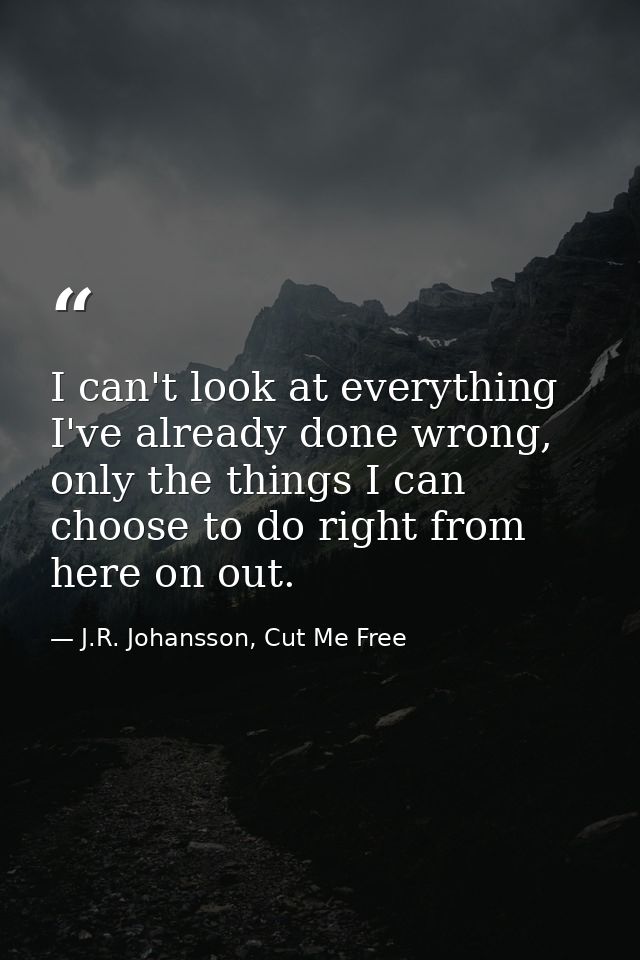 I can't look at everything I've already done wrong, only the things I can choose to do right from here on out. — J.R. Johansson, Cut Me Free