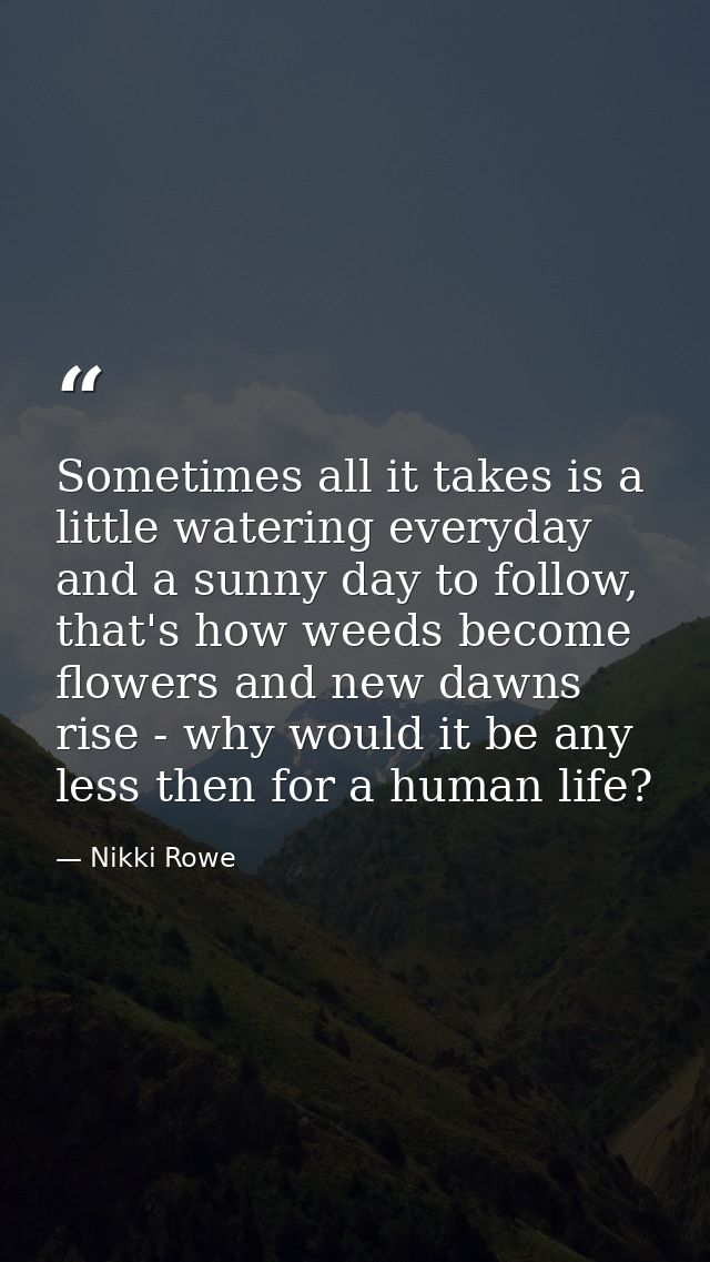 Sometimes all it takes is a little watering everyday and a sunny day to follow, that's how weeds become flowers and new  — Nikki Rowe
