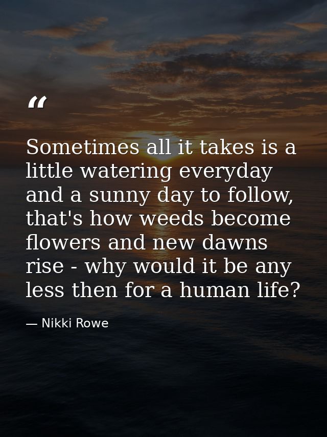 Sometimes all it takes is a little watering everyday and a sunny day to follow, that's how weeds become flowers and new  — Nikki Rowe