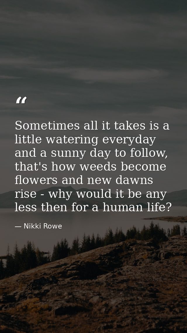 Sometimes all it takes is a little watering everyday and a sunny day to follow, that's how weeds become flowers and new  — Nikki Rowe