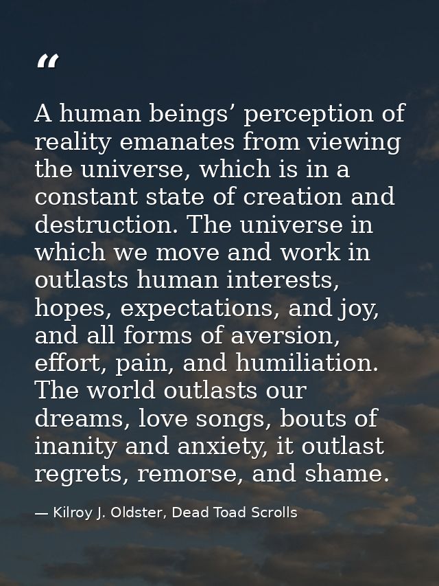 A human beings’ perception of reality emanates from viewing the universe, which is in a constant state of creation and d — Kilroy J. Oldster, Dead Toad Scrolls