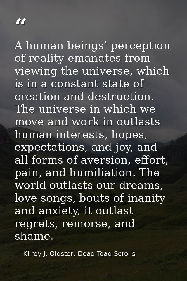 A human beings’ perception of reality emanates from viewing the universe, which is in a constant state of creation and d — Kilroy J. Oldster, Dead Toad Scrolls