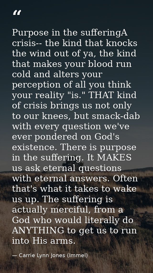 Purpose in the sufferingA crisis-- the kind that knocks the wind out of ya, the kind that makes your blood run cold and  — Carrie Lynn Jones (Immel)