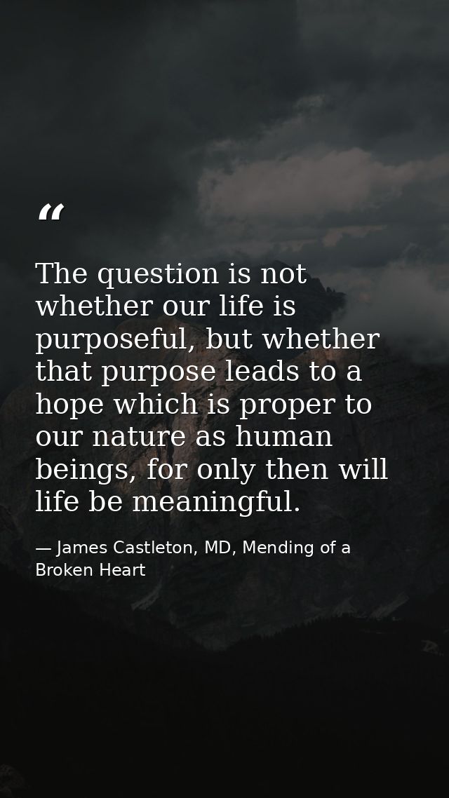The question is not whether our life is purposeful, but whether that purpose leads to a hope which is proper to our natu — James Castleton, MD, Mending of a Broken Heart