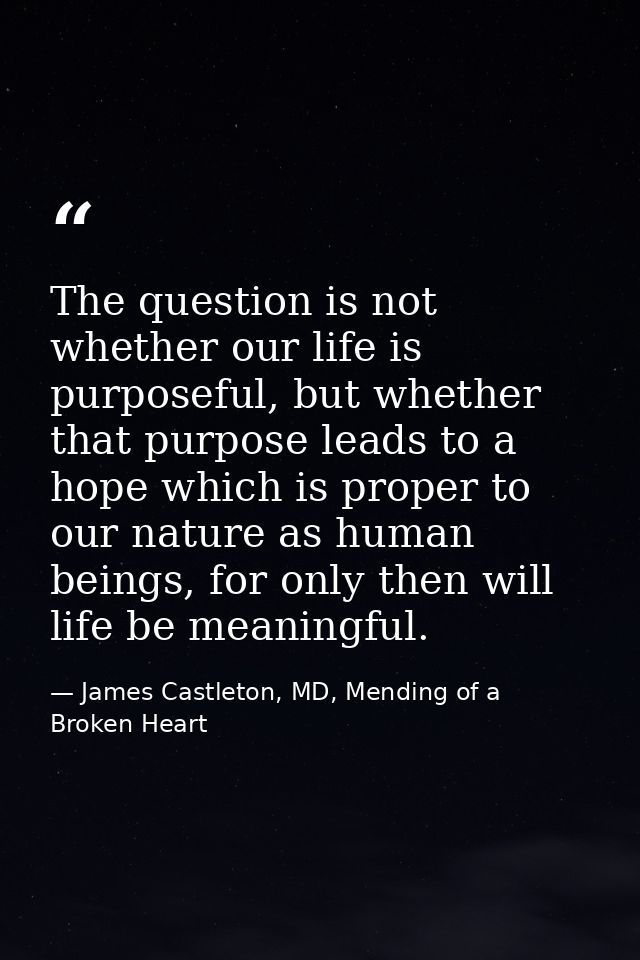 The question is not whether our life is purposeful, but whether that purpose leads to a hope which is proper to our natu — James Castleton, MD, Mending of a Broken Heart