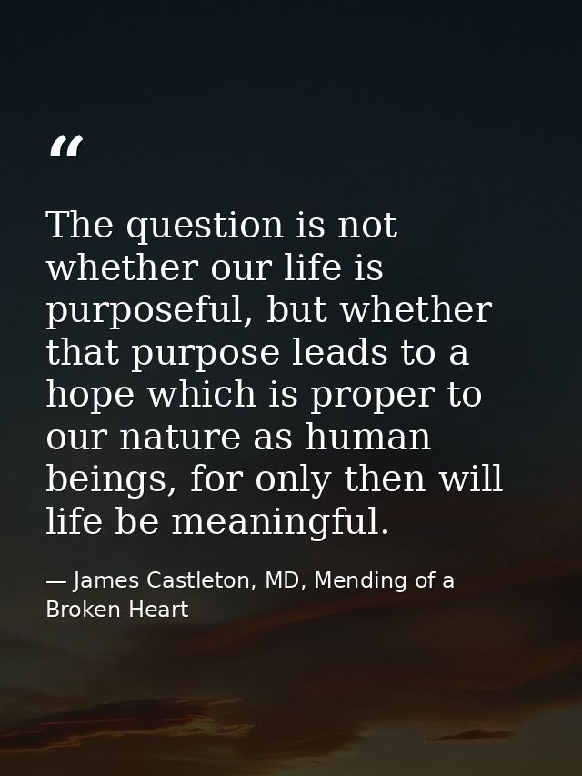 The question is not whether our life is purposeful, but whether that purpose leads to a hope which is proper to our natu — James Castleton, MD, Mending of a Broken Heart