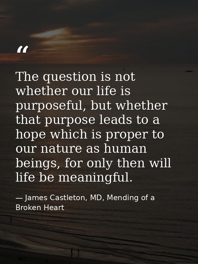 The question is not whether our life is purposeful, but whether that purpose leads to a hope which is proper to our natu — James Castleton, MD, Mending of a Broken Heart