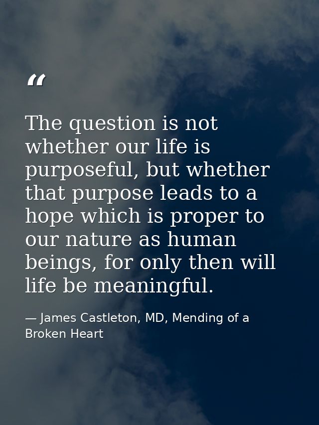 The question is not whether our life is purposeful, but whether that purpose leads to a hope which is proper to our natu — James Castleton, MD, Mending of a Broken Heart