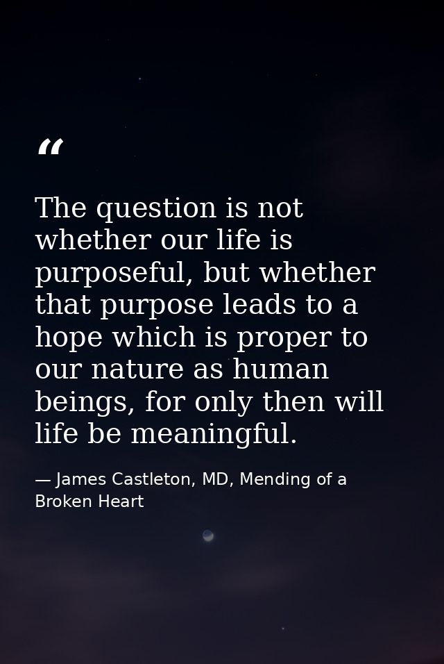 The question is not whether our life is purposeful, but whether that purpose leads to a hope which is proper to our natu — James Castleton, MD, Mending of a Broken Heart