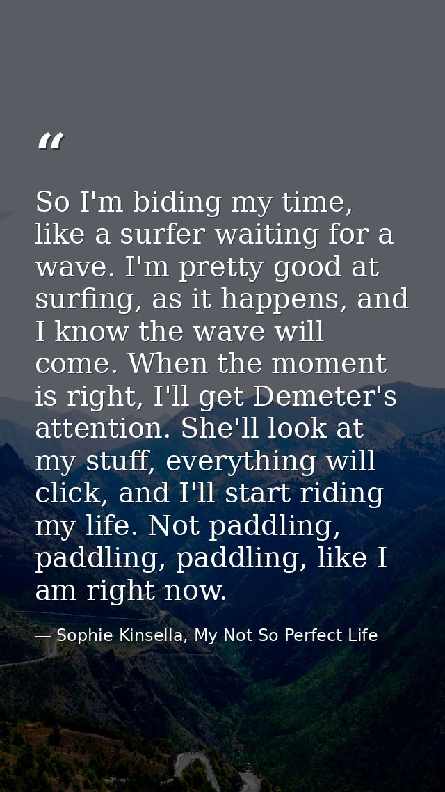 So I'm biding my time, like a surfer waiting for a wave. I'm pretty good at surfing, as it happens, and I know the wave  — Sophie Kinsella, My Not So Perfect Life