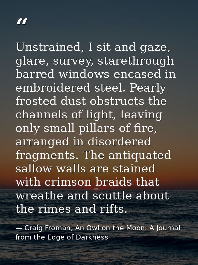 Unstrained, I sit and gaze, glare, survey, starethrough barred windows encased in embroidered steel. Pearly frosted dust — Craig Froman, An Owl on the Moon: A Journal from the Edge of Darkness