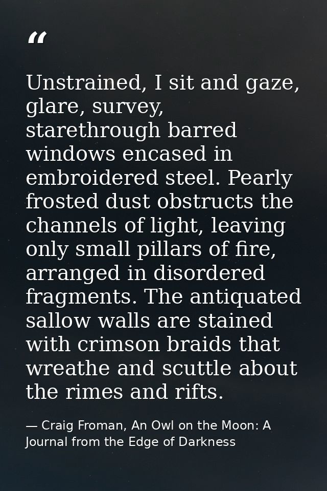 Unstrained, I sit and gaze, glare, survey, starethrough barred windows encased in embroidered steel. Pearly frosted dust — Craig Froman, An Owl on the Moon: A Journal from the Edge of Darkness