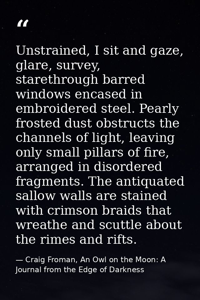 Unstrained, I sit and gaze, glare, survey, starethrough barred windows encased in embroidered steel. Pearly frosted dust — Craig Froman, An Owl on the Moon: A Journal from the Edge of Darkness
