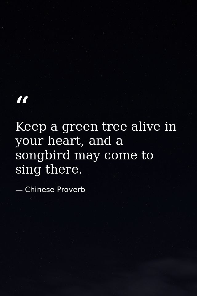 Keep a green tree alive in your heart, and a songbird may come to sing there. — Chinese Proverb