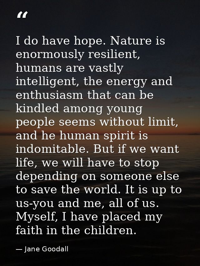 I do have hope. Nature is enormously resilient, humans are vastly intelligent, the energy and enthusiasm that can be kin — Jane Goodall
