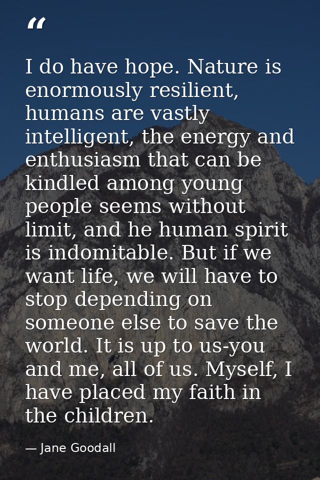 I do have hope. Nature is enormously resilient, humans are vastly intelligent, the energy and enthusiasm that can be kin — Jane Goodall