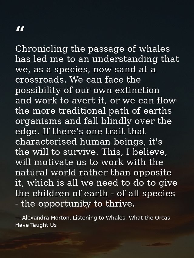 Chronicling the passage of whales has led me to an understanding that we, as a species, now sand at a crossroads. We can — Alexandra Morton, Listening to Whales: What the Orcas Have Taught Us