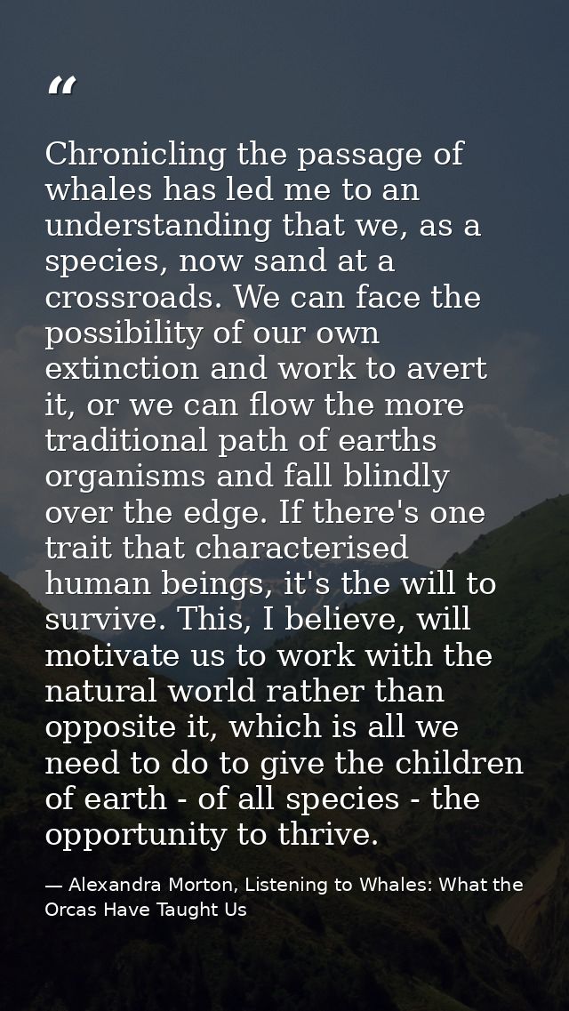 Chronicling the passage of whales has led me to an understanding that we, as a species, now sand at a crossroads. We can — Alexandra Morton, Listening to Whales: What the Orcas Have Taught Us