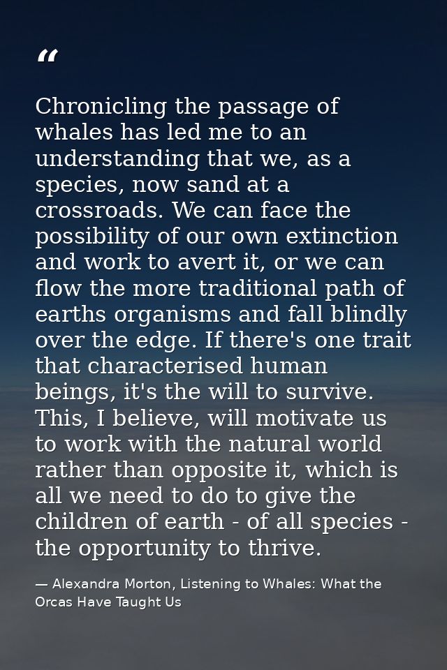 Chronicling the passage of whales has led me to an understanding that we, as a species, now sand at a crossroads. We can — Alexandra Morton, Listening to Whales: What the Orcas Have Taught Us