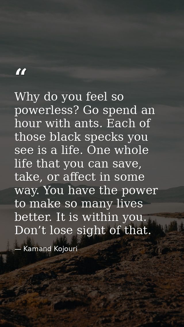 Why do you feel so powerless? Go spend an hour with ants. Each of those black specks you see is a life. One whole life t — Kamand Kojouri
