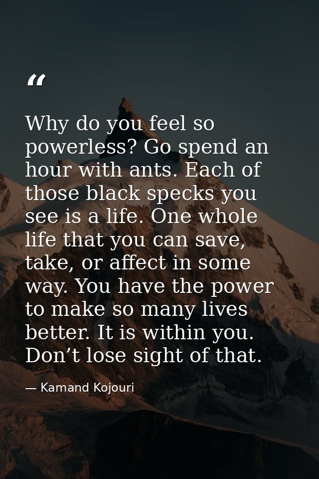 Why do you feel so powerless? Go spend an hour with ants. Each of those black specks you see is a life. One whole life t — Kamand Kojouri